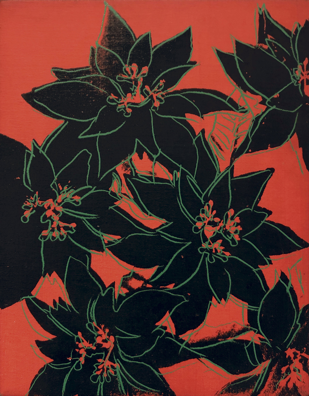 Poinsettia