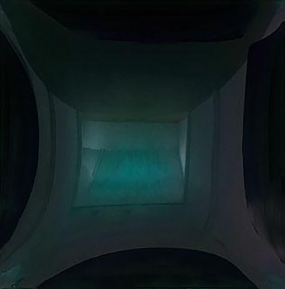 Anish Kapoor